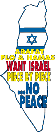 Israel Piece by Piece